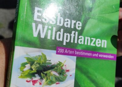 Essbare Wildpflanzen